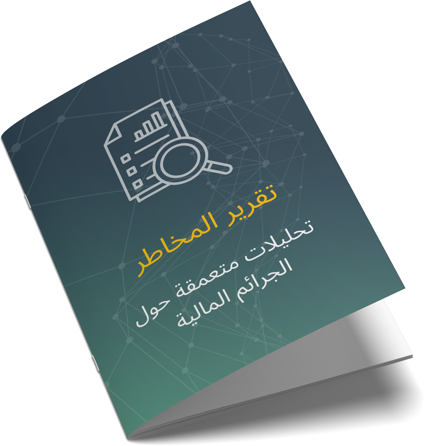 Insight---Risk-report-analysis---Tathabbat